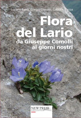 FLORA DEL LARIO