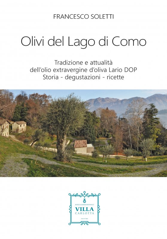 Olivi del Lago di Como